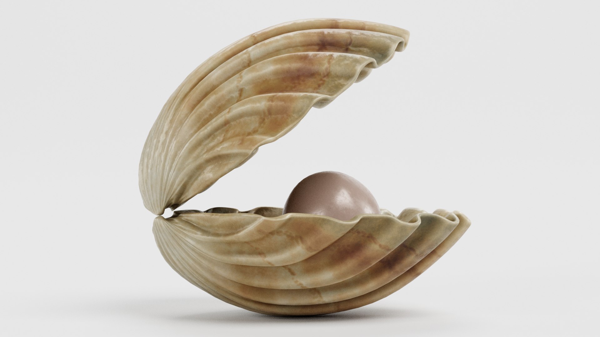 clam pearl model https://p.turbosquid.com/ts-thumb/EN/7ClSEf/NnJBSWbH/clamwithpearl4d/png/1578396249/1920x1080/fit_q87/6641ed854f2e7ced8960e957afab9e5928746f50/clamwithpearl4d.jpg