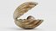 Clam with Pearl 4
