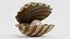 Clam with Pearl 4