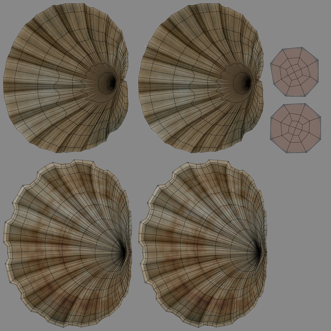 clam pearl model https://p.turbosquid.com/ts-thumb/EN/7ClSEf/fmIk3iKZ/clamwithpearl4uv/png/1578396249/1920x1080/fit_q87/31a8d358c26a461ccb2d5cebf747dc9e774e38d9/clamwithpearl4uv.jpg