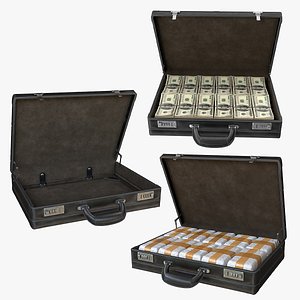 Briefcase with Filling