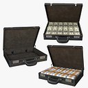 Briefcase with Filling