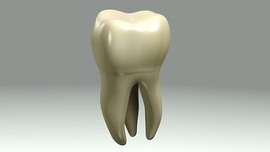 Teeth