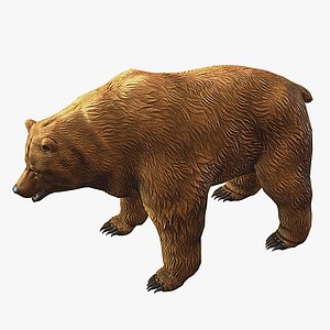 3d brown bear model