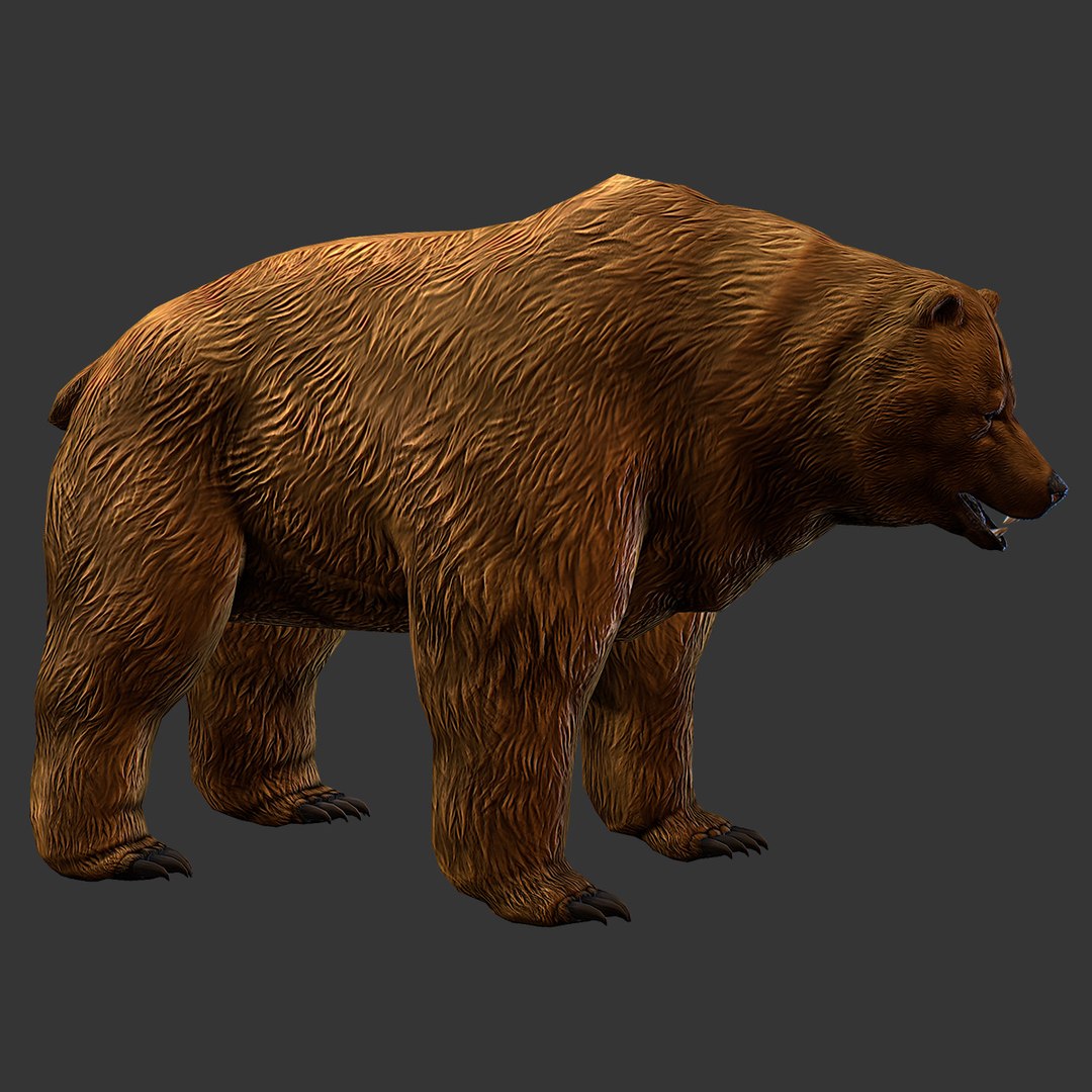 3d brown bear model https://p.turbosquid.com/ts-thumb/EN/GBA8Gt/EIuGa7vz/01/jpg/1394653734/1920x1080/fit_q87/0a5c1b98d3a89d2479d0c8e83296298f9f26d42b/01.jpg