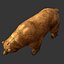 3d brown bear model