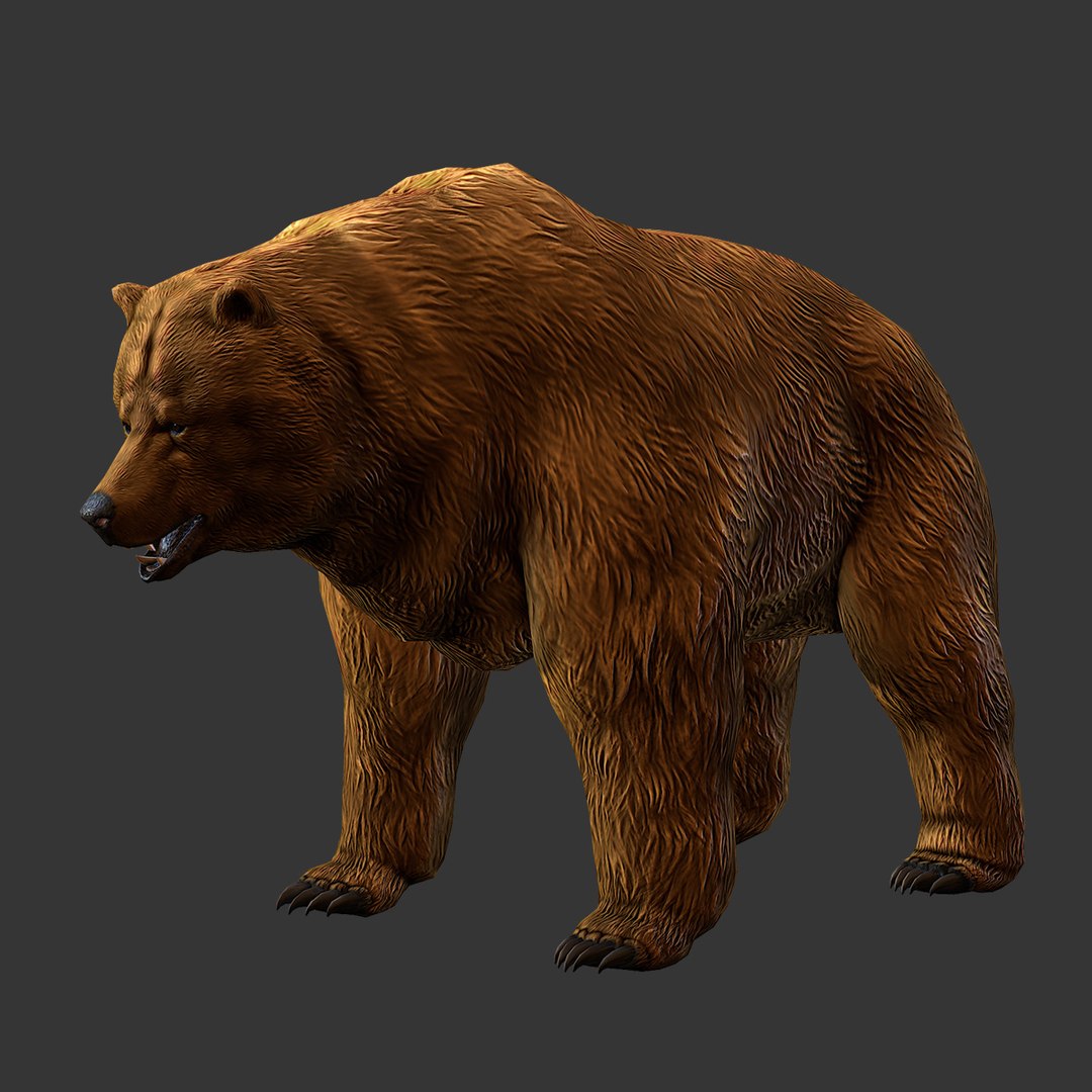 3d brown bear model https://p.turbosquid.com/ts-thumb/EN/GBA8Gt/ah9lCMiD/03/jpg/1394653750/1920x1080/fit_q87/c570621ed1d5da822e0e939242e1c5e0d1e6d23e/03.jpg