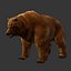 3d brown bear model