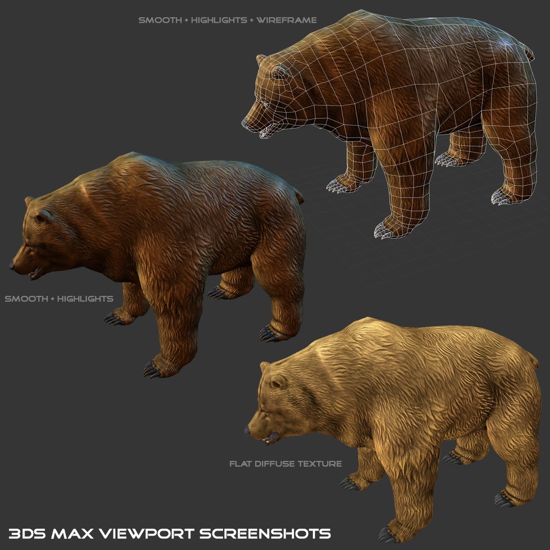 3d brown bear model https://p.turbosquid.com/ts-thumb/EN/GBA8Gt/amtVqlo0/06/jpg/1395309031/1920x1080/fit_q87/a6a09fab1816a30f16109a40e6aaa51eb550d329/06.jpg