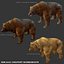 3d brown bear model