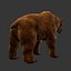 3d brown bear model