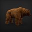 Oso grizzly