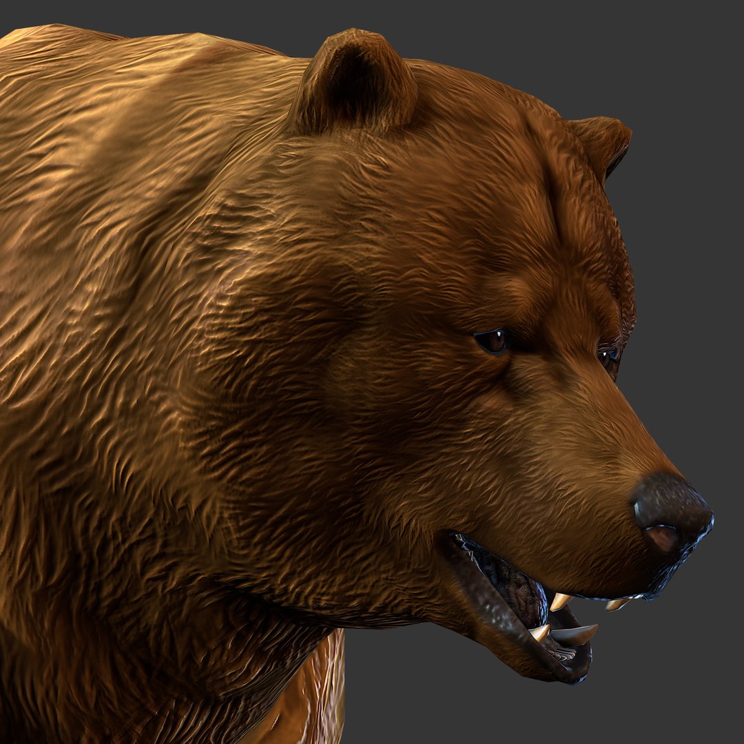 3d brown bear model https://p.turbosquid.com/ts-thumb/EN/GBA8Gt/ydmDWqDv/05/jpg/1394654212/1920x1080/fit_q87/9beb74903c2bc00468bee673e35de08259a01d75/05.jpg