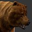 3d brown bear model