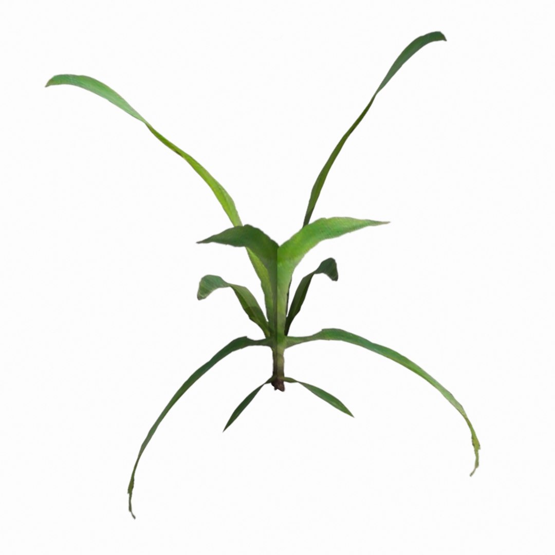 optimized weed plant 3d max https://p.turbosquid.com/ts-thumb/EN/TBC4vd/Dlt1tDeY/weed_perspective03/jpg/1408034520/1920x1080/fit_q87/468ff479d31cbd0c612dcb0ebdbdf9bf88402d96/weed_perspective03.jpg