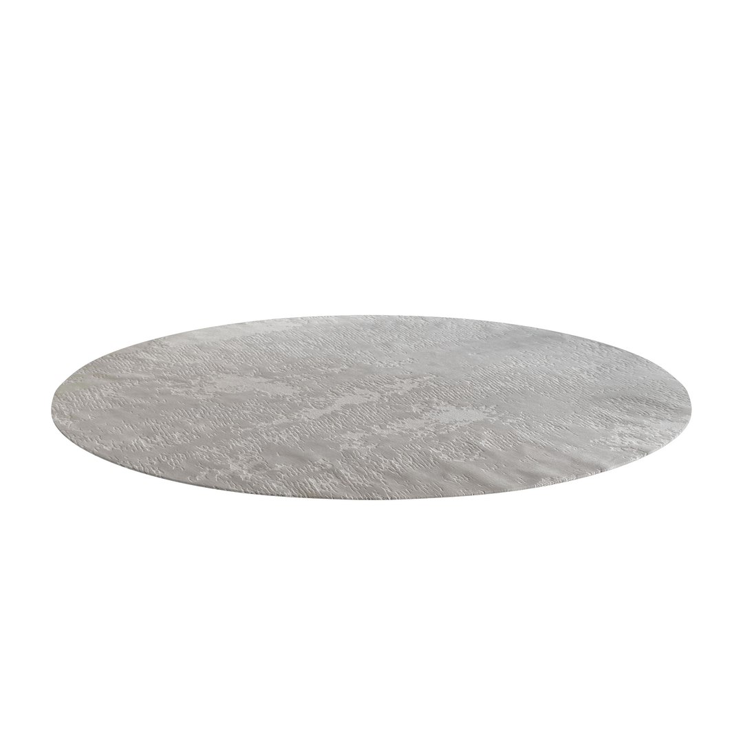 TEX GREY Round Rug Model - TurboSquid 2265929