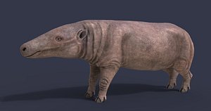 3D anthracotherium model