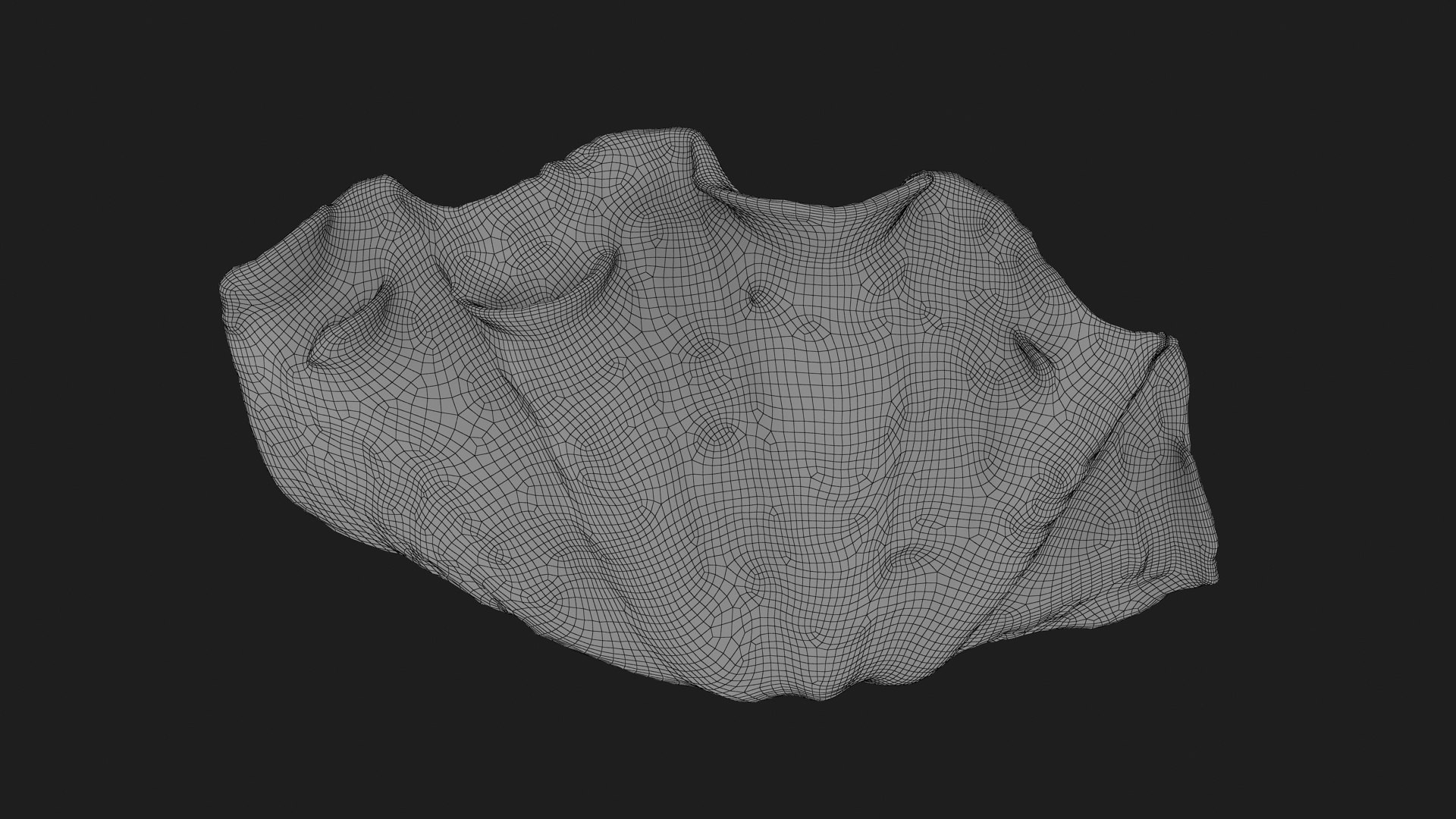 3D Model Giant Clam Shell Half 02 TurboSquid 2302835