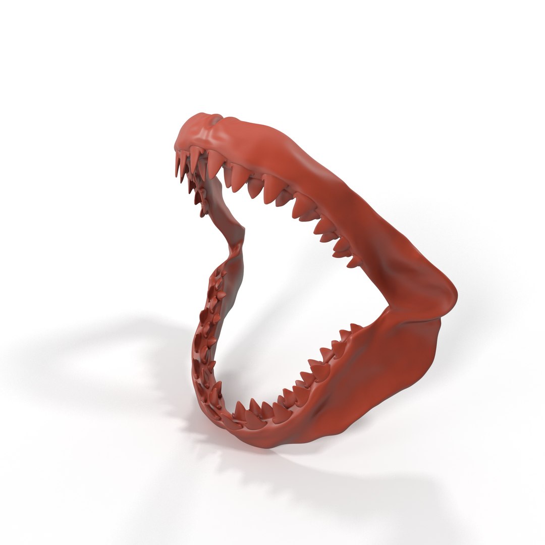 Great White Shark Jaw Bone for 3D Print 3D model preview