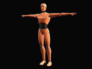 crash dummy