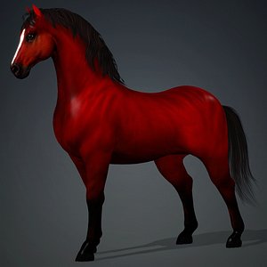 Horse-C4 3D model