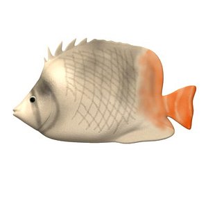tropical fish 3d model