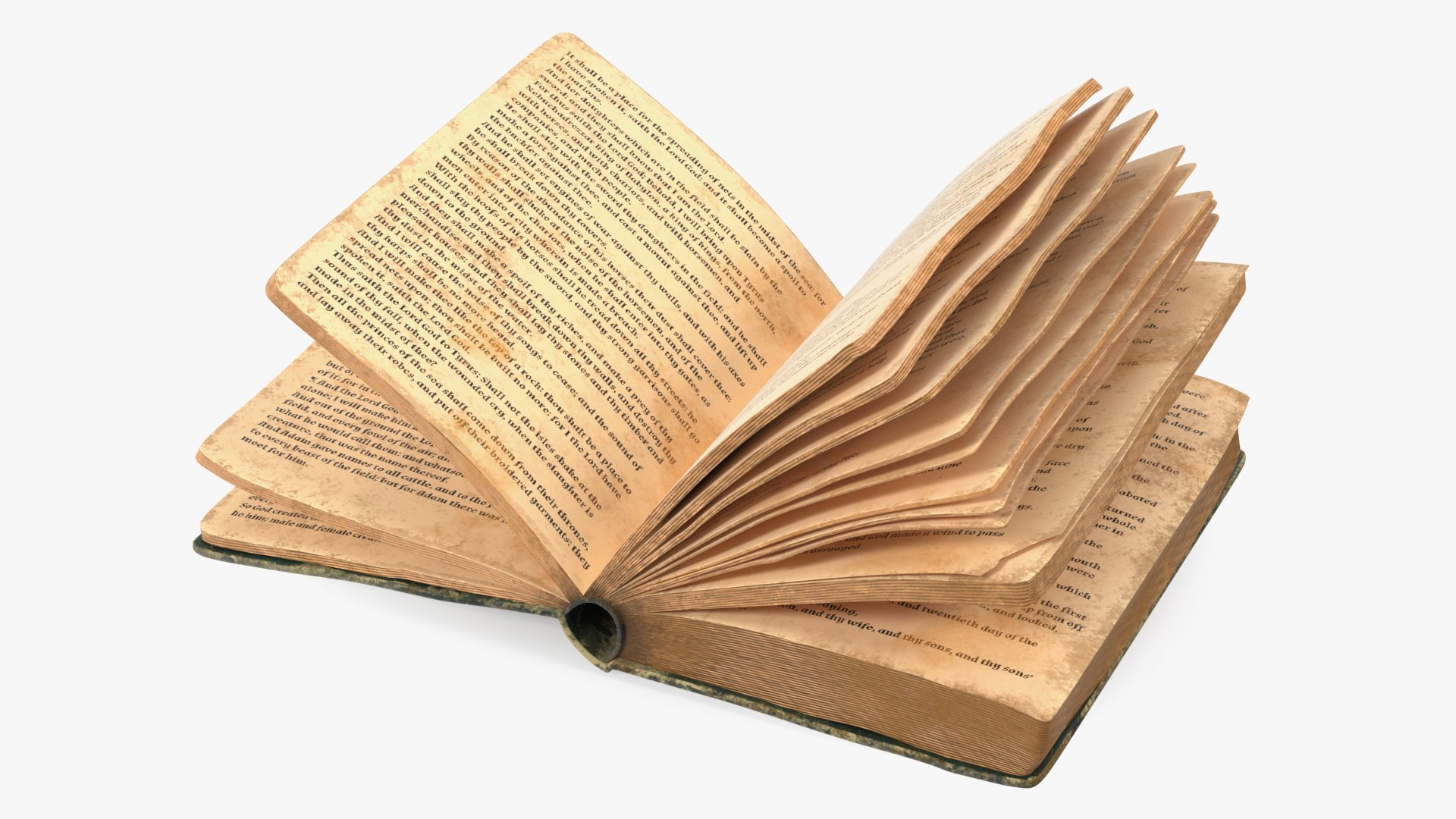 3D Voodoo Ritual Objects Collection model https://p.turbosquid.com/ts-thumb/EO/IrbWun/Hg/halfopenedveryoldbookc4dmodel001/jpg/1672131818/1920x1080/fit_q87/e9ba19a7f5358b5bce2c877b761059662f997566/halfopenedveryoldbookc4dmodel001.jpg