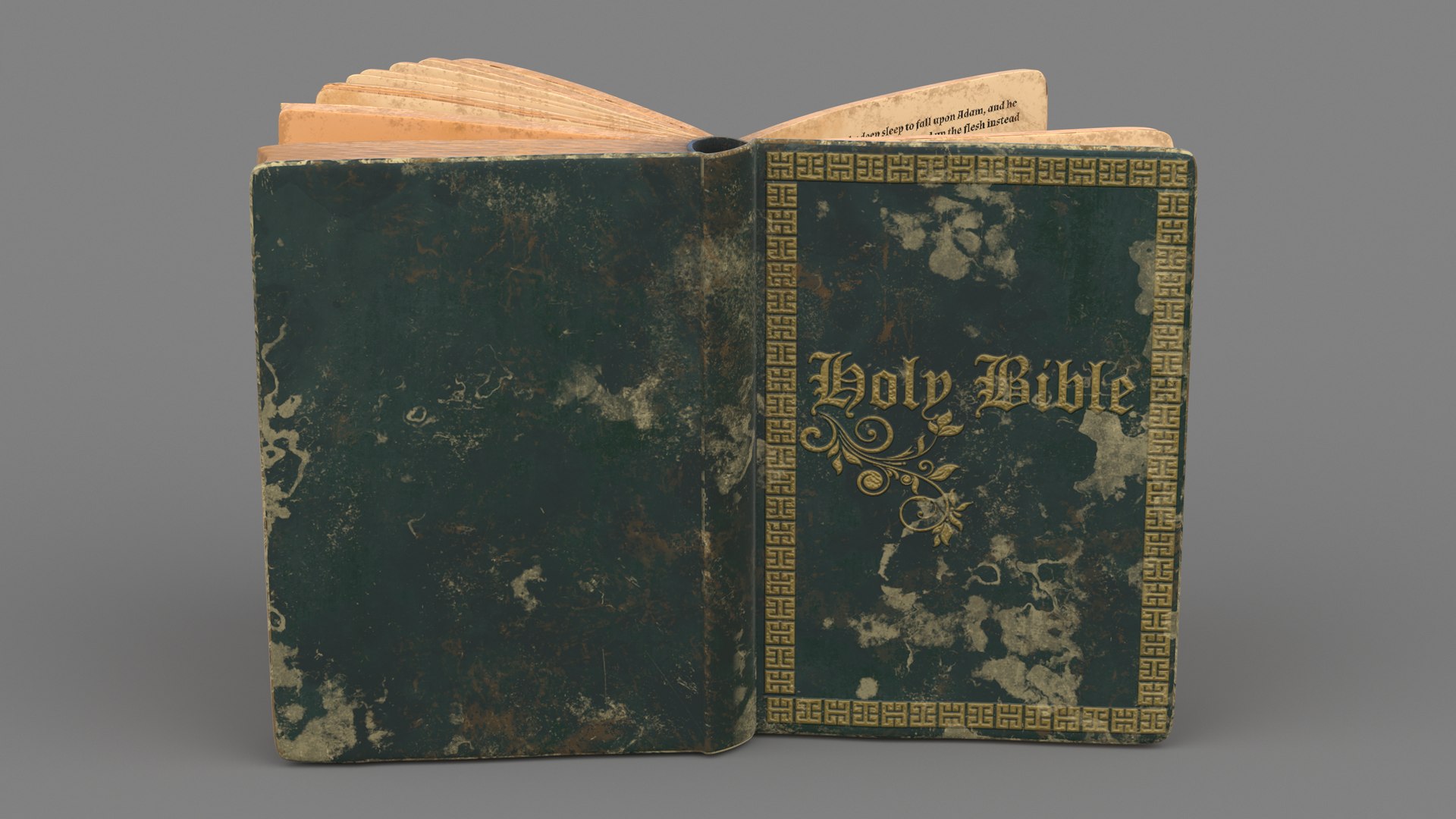 3D model Half Opened Very Old Book https://p.turbosquid.com/ts-thumb/EO/IrbWun/KW/halfopenedveryoldbookc4dmodel005/jpg/1672107150/1920x1080/fit_q87/438b80948a82b1246861d877ca2d82609ea101ed/halfopenedveryoldbookc4dmodel005.jpg