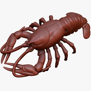 crayfish  Lobster