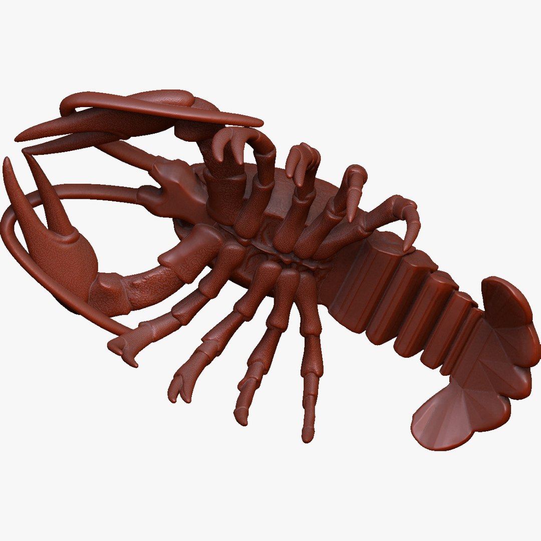 crayfish lobster x https://p.turbosquid.com/ts-thumb/EO/O8v9cC/UmHBAReJ/4/jpg/1459369852/1920x1080/fit_q87/6fb0ef79d2226637d393d2a6a944dbd4db5c4695/4.jpg