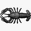 crayfish  Lobster