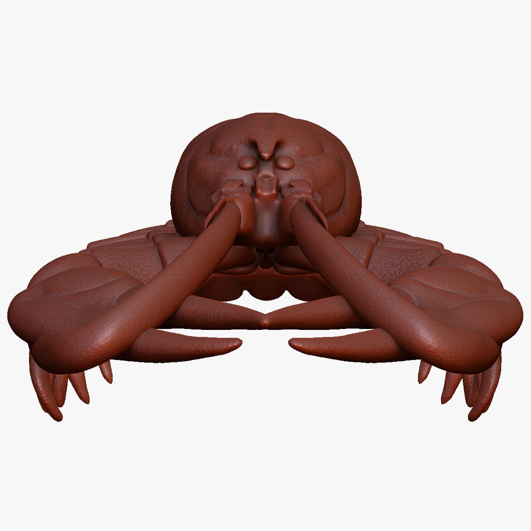 crayfish lobster x https://p.turbosquid.com/ts-thumb/EO/O8v9cC/cfZNHrDs/5/jpg/1459369861/1920x1080/fit_q87/98fb15cdc41959221f5687321a64cad5fc3be53a/5.jpg