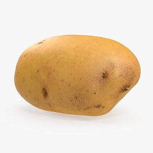 raw potato 3D model