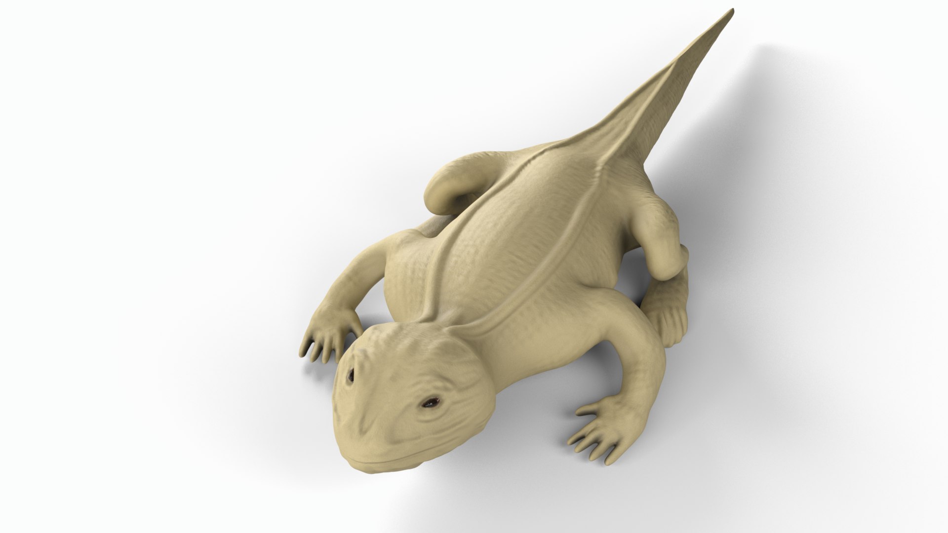 Bearded dragon 3D model https://p.turbosquid.com/ts-thumb/EO/PsK01Z/3i/beardeddragonsmall0000/png/1747759489/1920x1080/fit_q87/3b417464ab622791bfa9c30ecc0cab93846a8839/beardeddragonsmall0000.jpg