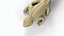 Bearded dragon 3D model