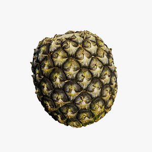 Anydrafts Ananas comosus 01