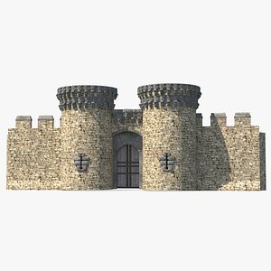 castle entrance gate 3D