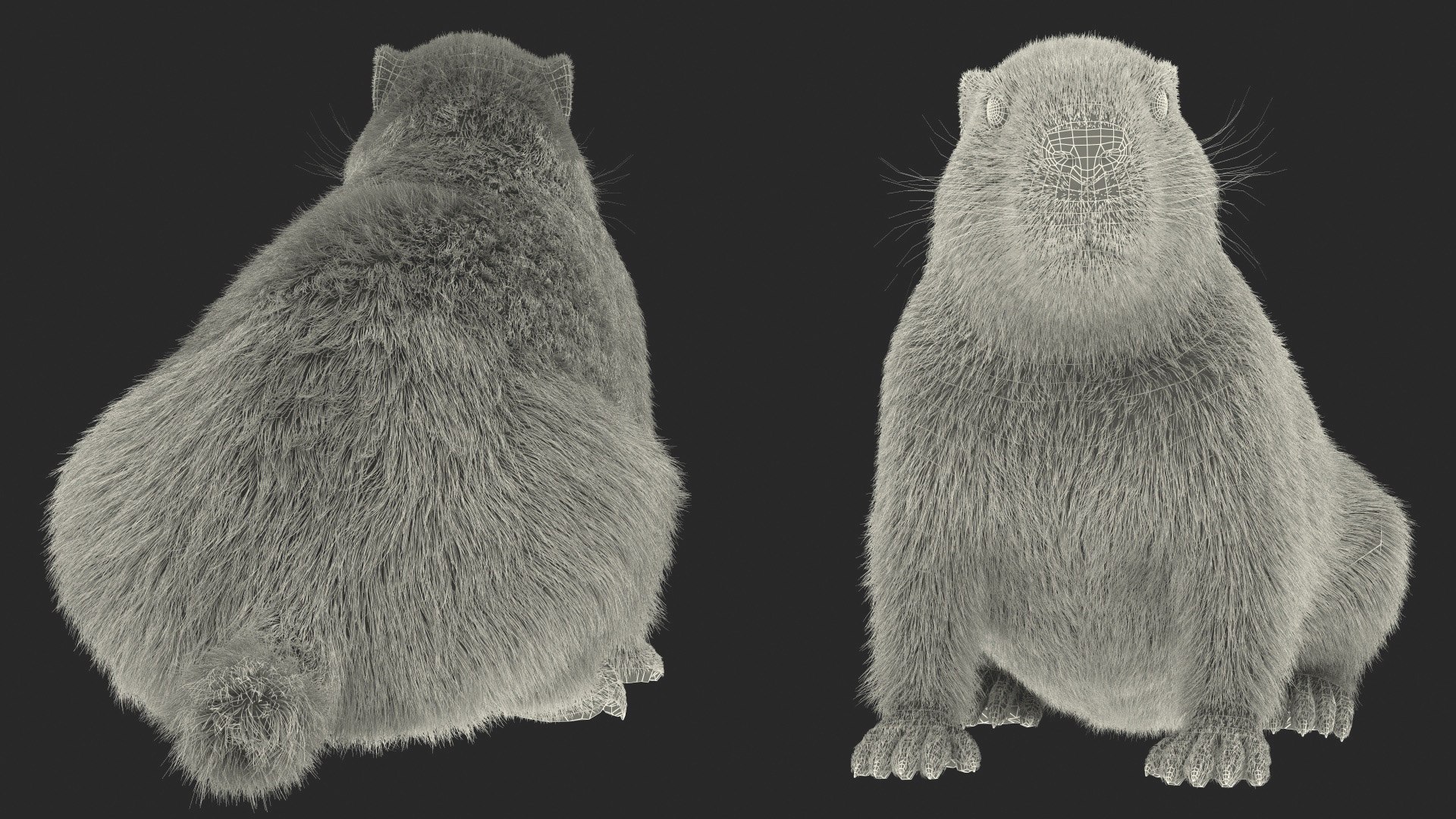 Sitting Ground Squirrel Fur 3D - TurboSquid 1964249