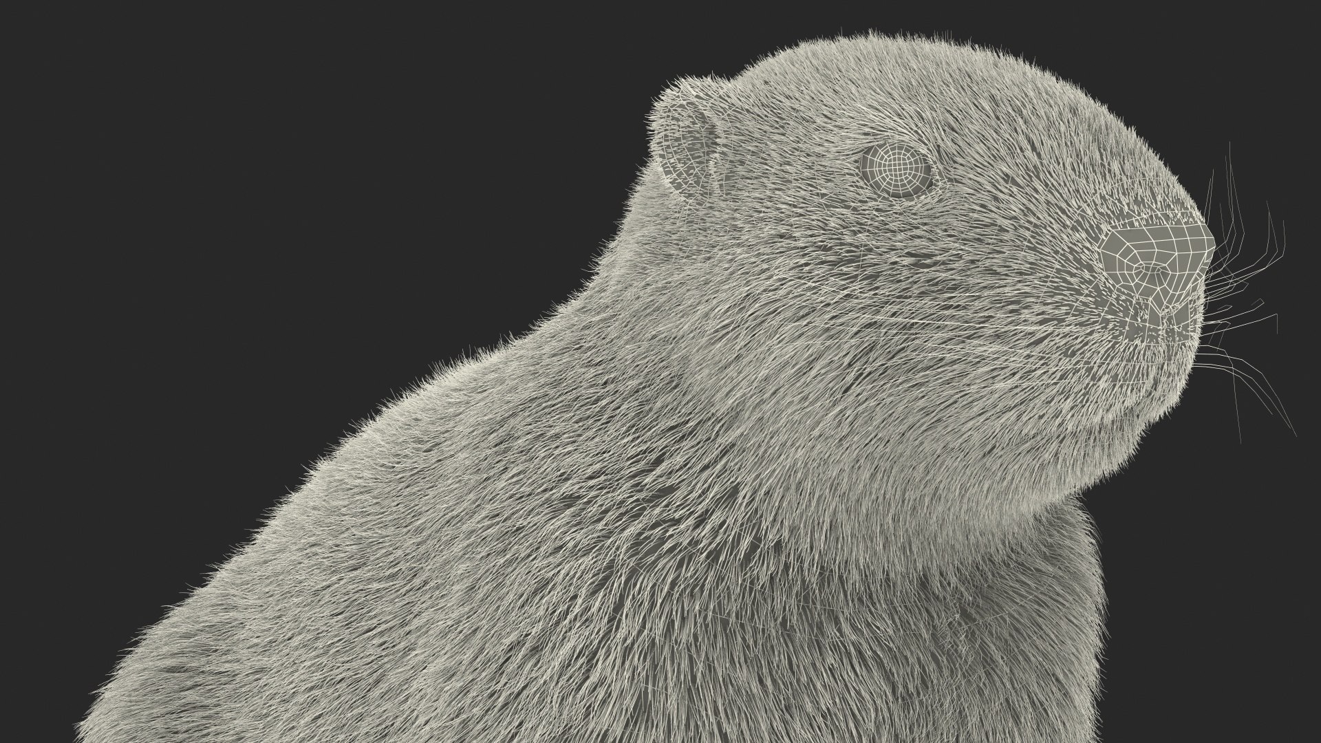 Sitting Ground Squirrel Fur 3D - TurboSquid 1964249