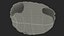 Red Eared Turtle Shell