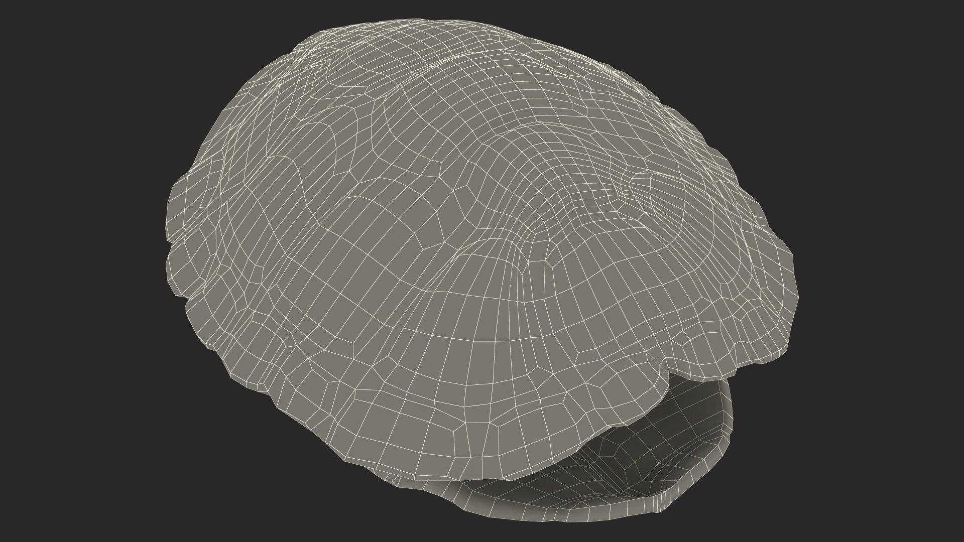 3D Red Eared Turtle Shell model https://p.turbosquid.com/ts-thumb/EO/gCZMLf/CQ/redearedturtleshellmb3dmodel025/jpg/1698955479/1920x1080/fit_q87/9e8b76776e9293fa8030b531987b4d3603166e5a/redearedturtleshellmb3dmodel025.jpg