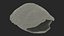 Red Eared Turtle Shell