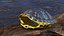 Red Eared Turtle Shell