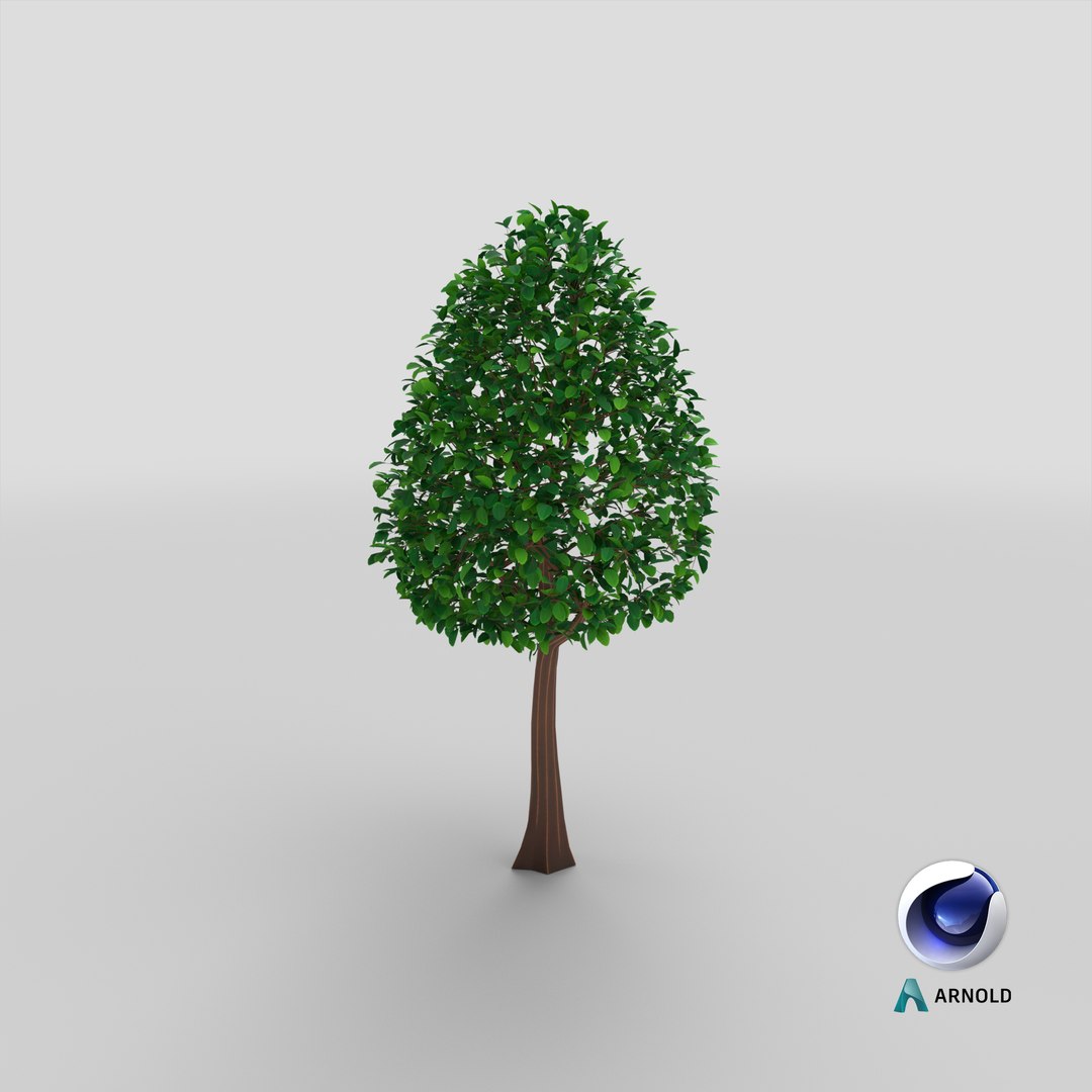 Cartoon Tree Small 07 3D model - TurboSquid 1936833