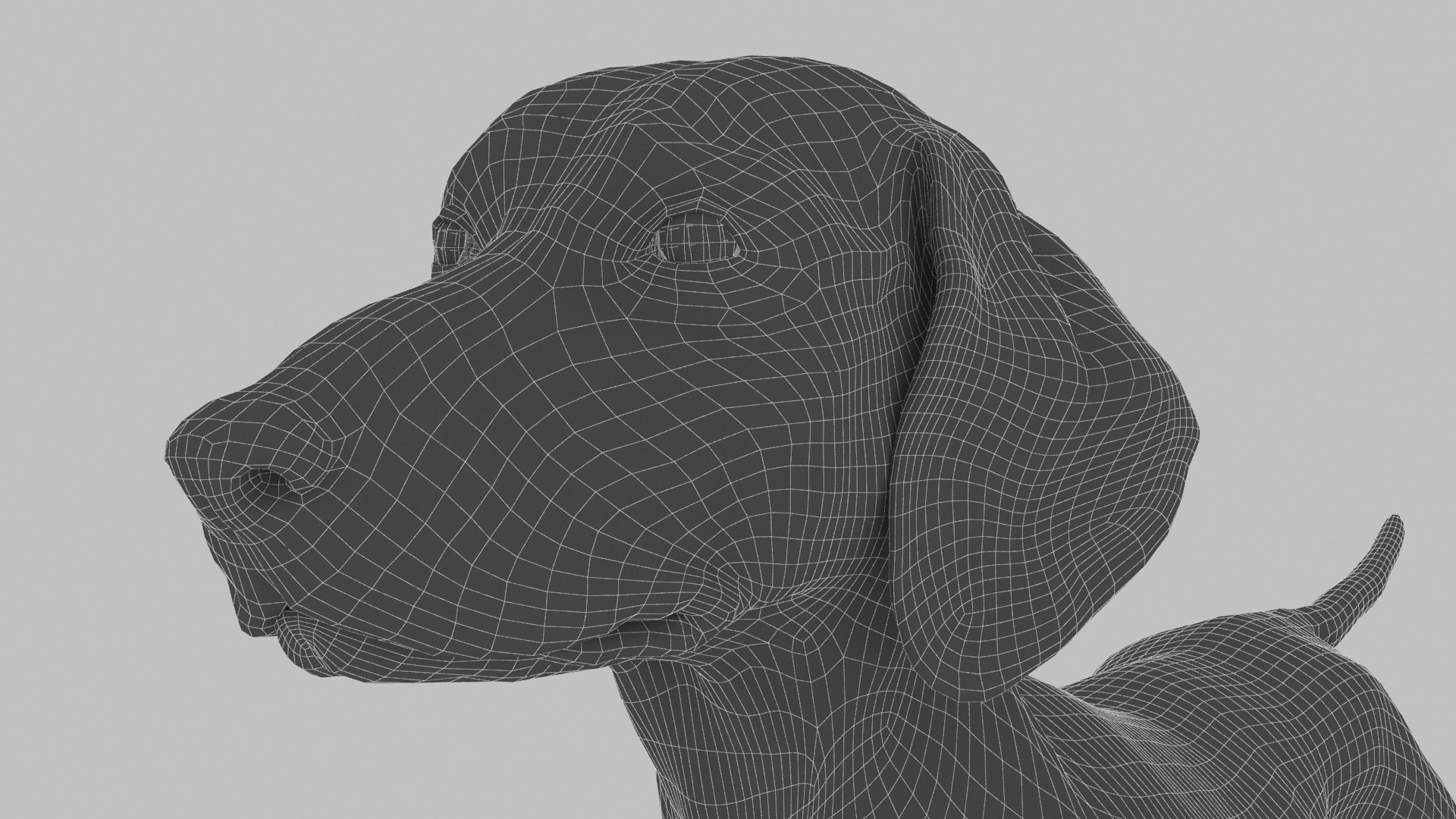 3D model dachshund dog https://p.turbosquid.com/ts-thumb/EO/kPHl4Z/JI/wire05/jpg/1612114029/1920x1080/fit_q87/d07531597e54d22d6373e7f9a210afc8055d15a2/wire05.jpg