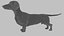 Perro salchicha