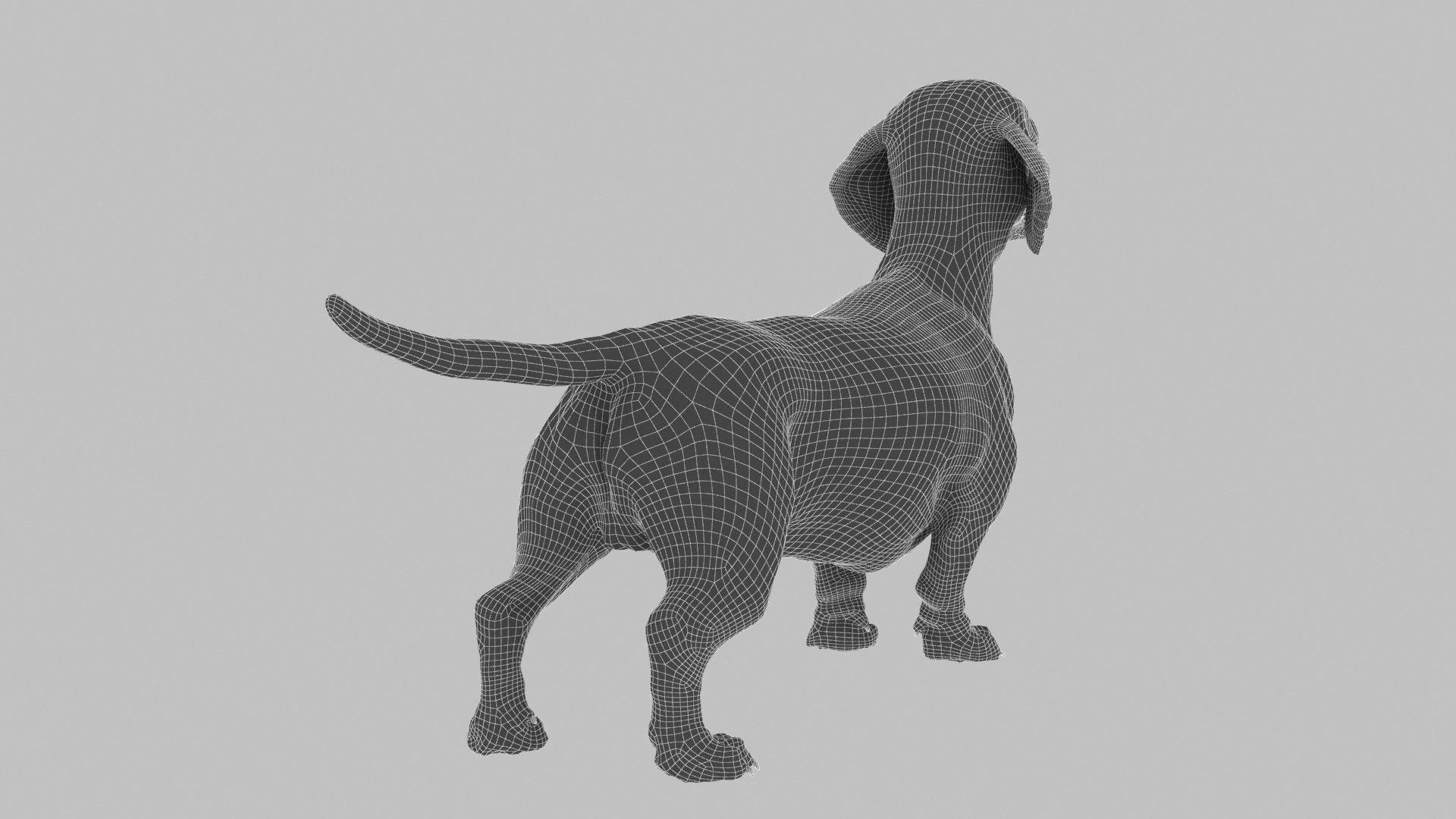 3D model dachshund dog https://p.turbosquid.com/ts-thumb/EO/kPHl4Z/ah/wire03/jpg/1612114028/1920x1080/fit_q87/88b15b72b63fb257be312126121448ac36b63d74/wire03.jpg