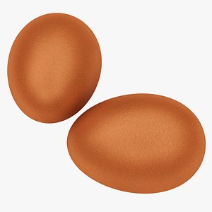 egg model