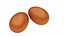 egg model