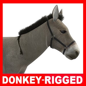 donkey rigged 3d model